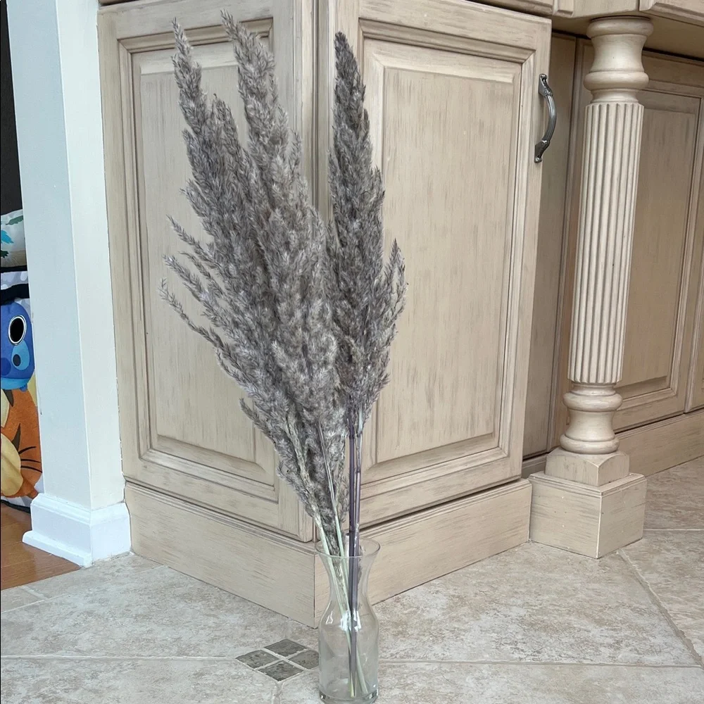 Natural Pampas Grass Gray Set of 5 Stems, Short Length 24